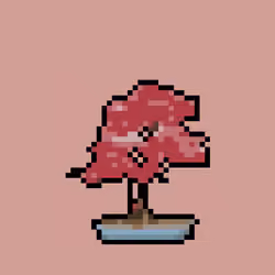 Bonsai Collection #2