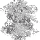 11761108081073924679948466955580817767288722782205669767010056769015577051137
