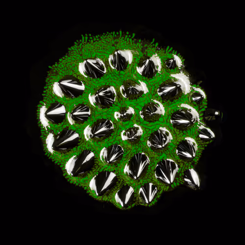 Item #6536742191884206912575663598984880054315379406165865333139133964374281027585 Media