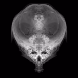 Alien Embryo - 324 of 2000