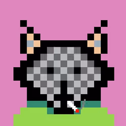 Crypto Animal Punk #0002