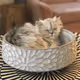 Centerpiece Dolly
