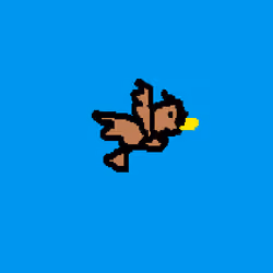 bird