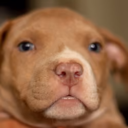 First time at home