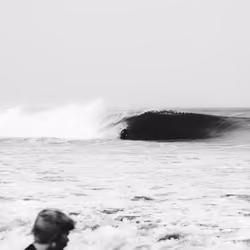 We are the Minnow #14