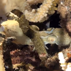 80965803268169370603932631570667161375508893671094224909166964073236365574145