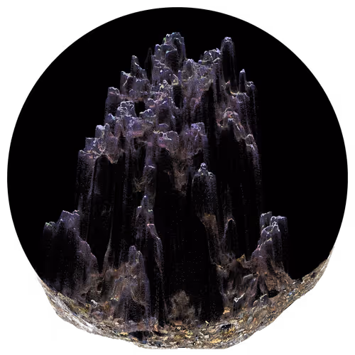 Item #3297889266964821186108216166808061648097153390725508810487041778393074892801 Media