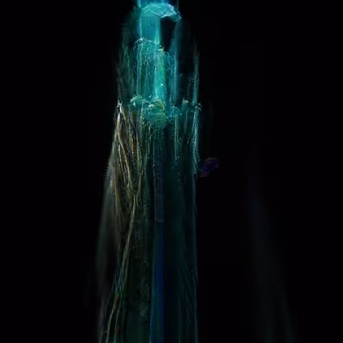 Item #81423580408588551200801073682850784470757564812203159627046902737364813086721 Media