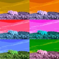 NFTREE 2X3