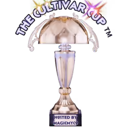 MycoSparkles Cup