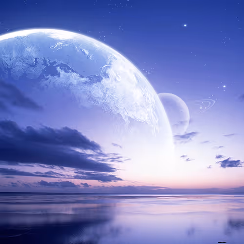 Untitled Collection #167585047