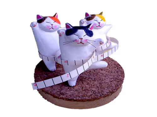 Item #24077195676896516994650422904961847190246203618531387184042737700775657472001 Media