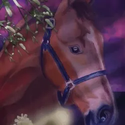 CABALLO #7
