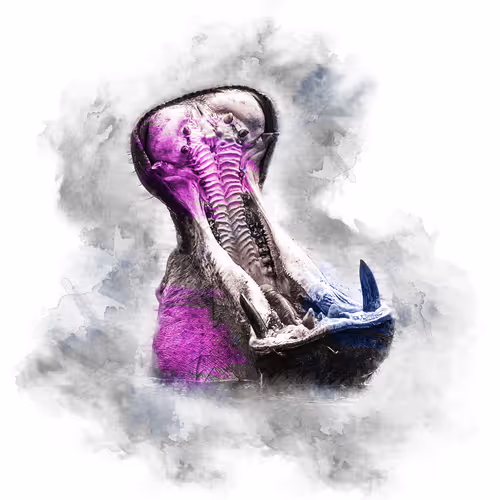 Item #59088353916634911645199901135540098457890710800918991321684793681035789336616 Media