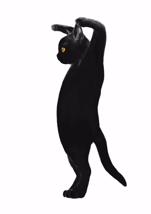 Item #82695799108276642583323751934613913274690371258081772662869305539891805814789 Media