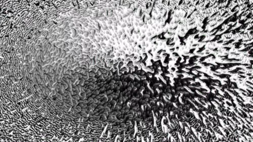 Item #110370200106739452173783908936953641857553285078464771877539431756505223790593 Media