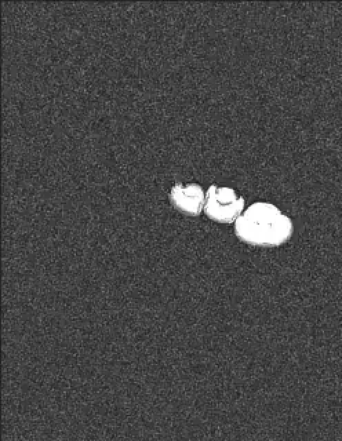 Item #11780915356901891937150191052604117223978980698243640119023280886069076164609 Media