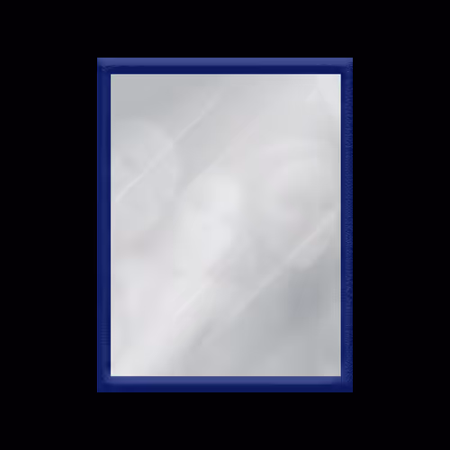 Mirrored  Reflections