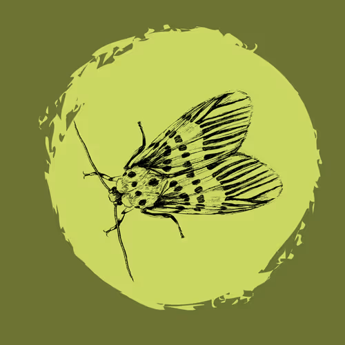 79067907305230177002014129353343413869651970885450883453575323030755385278465