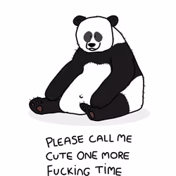 100 Grumpy Animals Card 34/100: Grumpy Panda