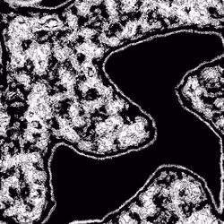 irregular#9