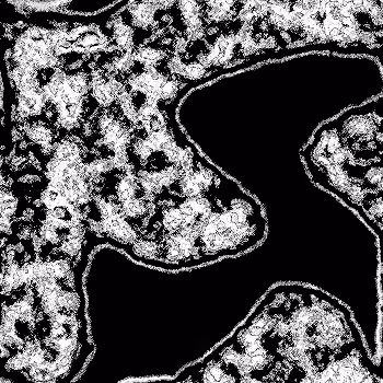 Item #12825885472433444421062783694315391560200635515703439909163887036193998635009 Media