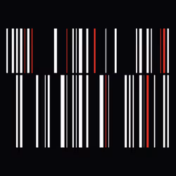 109334026439111402368738122638371148948649000304651538036628399693864529559553
