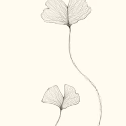 Les Fleurs du mal n.4
