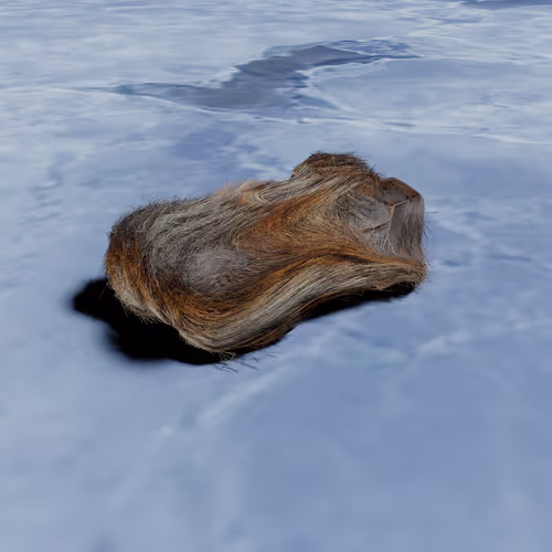 Item #14752475704053526179975580085119653177376443458078628156398802728408185831425 Media