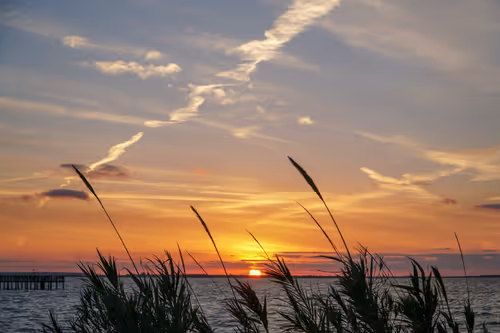 Item #1955808462375859957643046031357723895499971956545964229936624553677209731073 Media