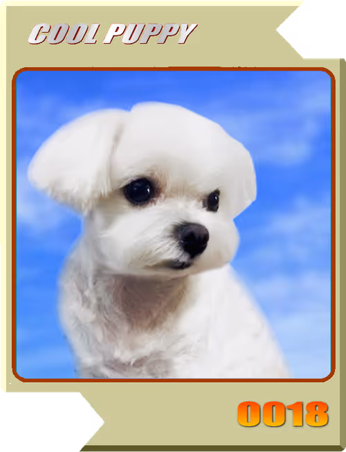 Item #21477548388787063266658748687199700189937005018840532589754440361233528913921 Media