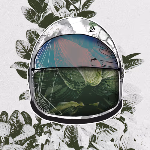 Item #31836226831423717067172261482072978592877620378445557656158267799539405553689 Media