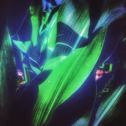 3787080761074609709675817509753112159059746763483256848434353555597384744965