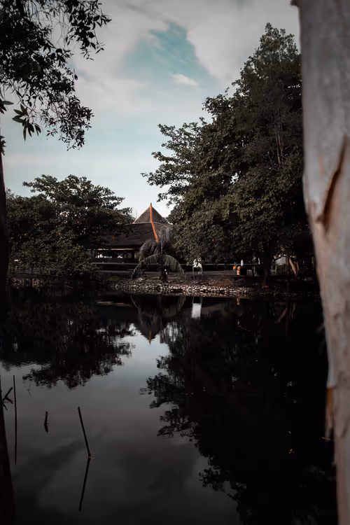 Item #58818844330179887995830317690881651137552461003549435356640226572569023610881 Media