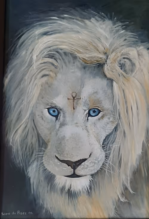 Item #108319801447916705209999714482794377307420393186493589738970213927069356654593 Media