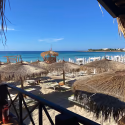 Tropical View