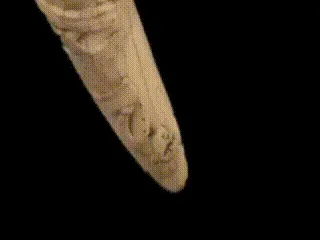 109357140932249174184232105731133177415490681567806678064024980358686824202241