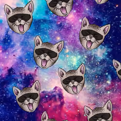 Cool Space Cats