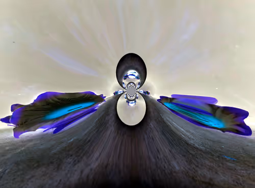 Item #67457553150443021914092587022250176347061355639032054621716076064120258953217 Media