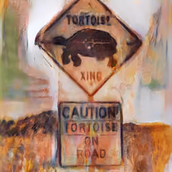 Tortoise .08