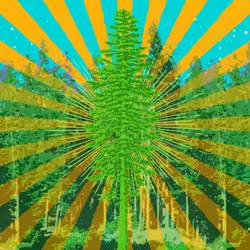 48464796124249850771290106539739105796658336187255943641253799262100194852865