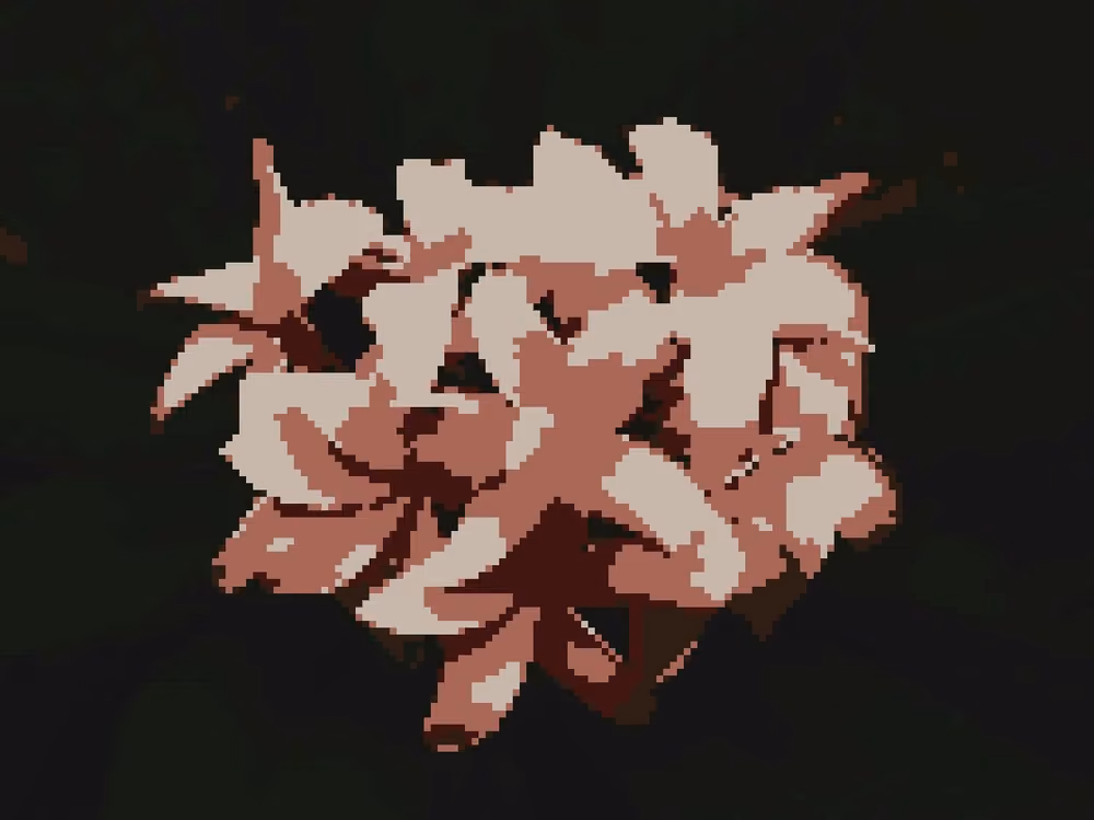 Bloom
