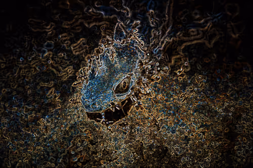 Item #112357457195153001497773786489249045252427376720708510106941895589222657556481 Media