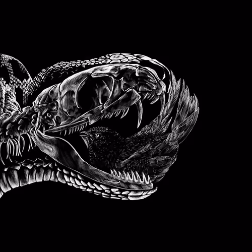 Item #95328989759495108423702854397899843607456839458301187039596122378442305961985 Media