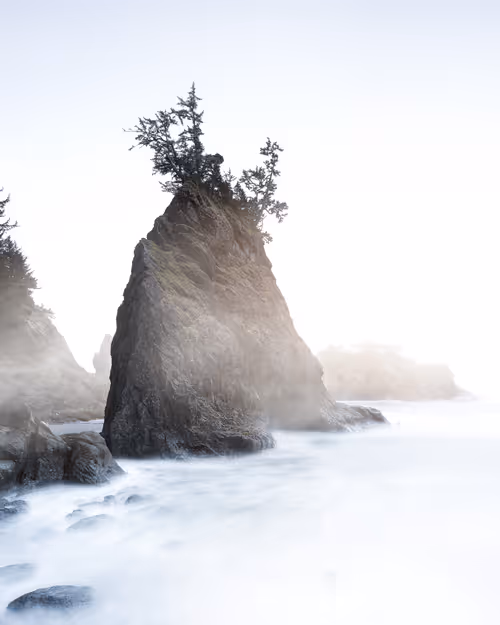 Item #13530196008563854885734701645489239893445931623828964503452581758695983022081 Media