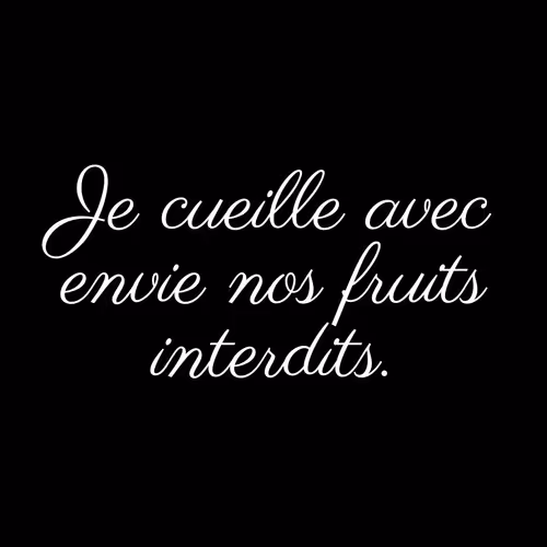 Item #74371741931470645784912528948589980971587939009711764784213724968613278908417 Media