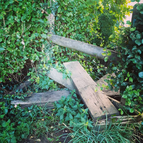 Item #105237010342582609876748436582366170093723610565651913513256945302876054355969 Media