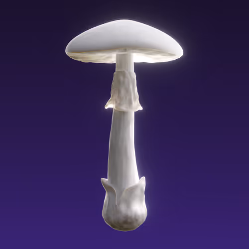 Item #95653877050150474555742155054455970472164202465768371638498214022863113945089 Media