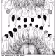 TEETH CHAPTER 0