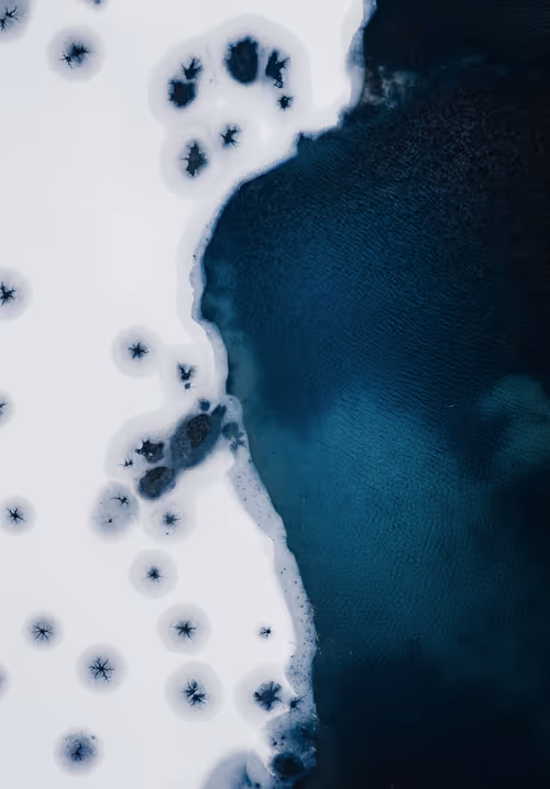 Item #56582553885224441089926055814048090400852822169914013821602265941556038991873 Media